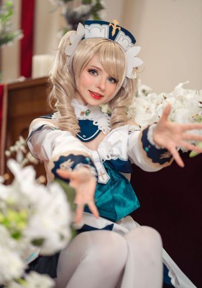 藏海花全集