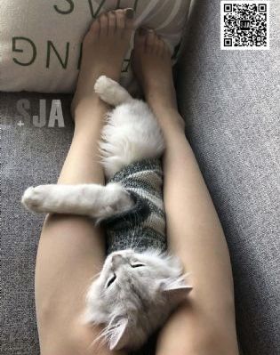 全红婵父亲请吃月饼
