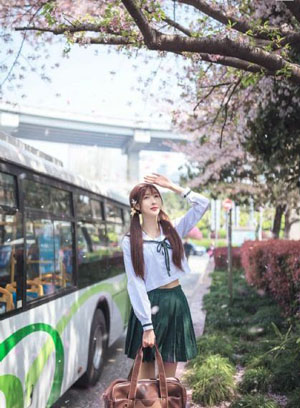春潮烂漫海棠完整版