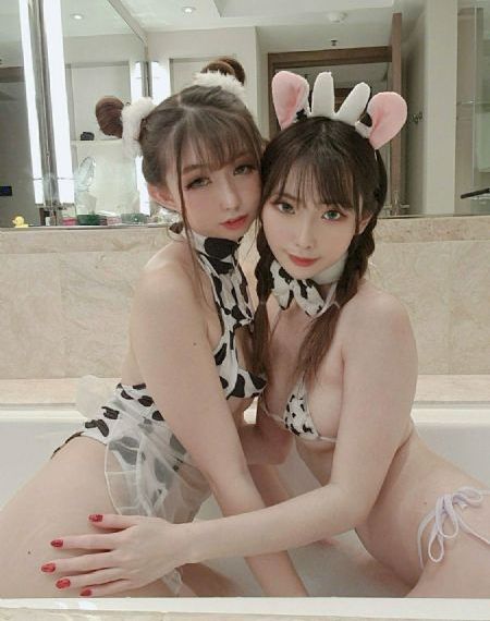 discipline动漫免费观看