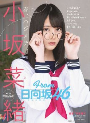 完美的家庭