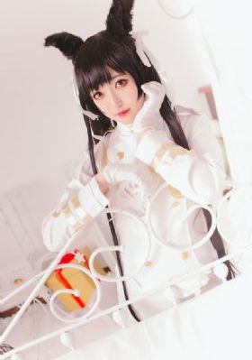 免费视频网页版