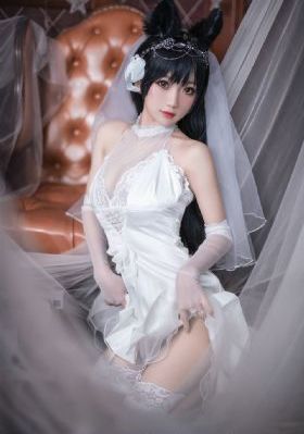 姐姐7电视剧在线观看