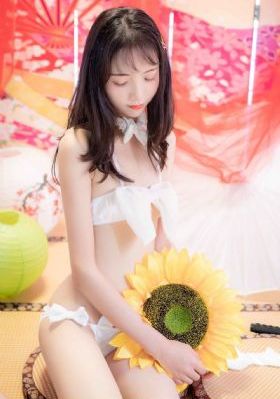 尚食电视剧