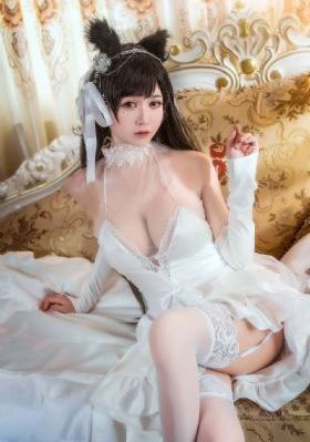 派克特